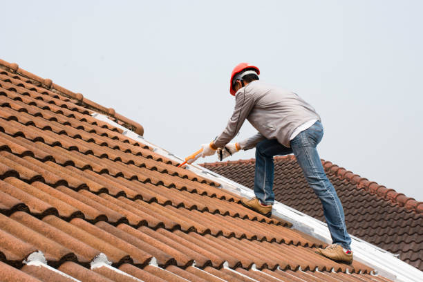 Best Chimney Flashing Repair  in Hoxie, AR